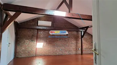 Vila cu personalitate ideala birouri PALATUL COTROCENI - foto 14