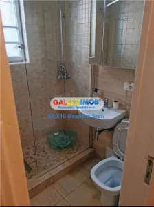 Vila cu personalitate ideala birouri PALATUL COTROCENI - foto 20