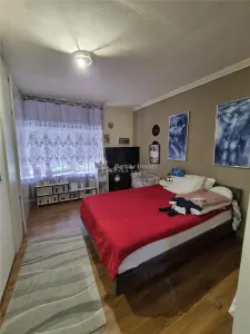 Casă MARE de CĂRĂMIDĂ în COM. Variaș, Timiș - 480 mp utili + 1500 mp teren - COMISION 0% - foto 8