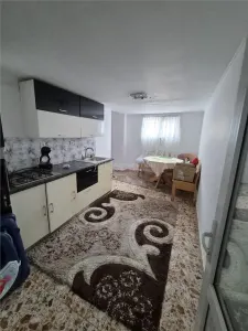 Casă MARE de CĂRĂMIDĂ în COM. Variaș, Timiș - 480 mp utili + 1500 mp teren - COMISION 0% - foto 9