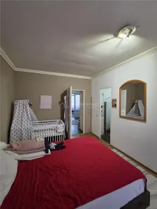 Casă MARE de CĂRĂMIDĂ în COM. Variaș, Timiș - 480 mp utili + 1500 mp teren - COMISION 0% - foto 10
