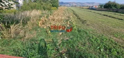 Teren intravilan cu toate utilitatile zona Mihalt - foto 7