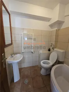 DE INCHIRIAT garsoniera , zona Plopilor Manastur, 18 mp, 180 euro - foto 7