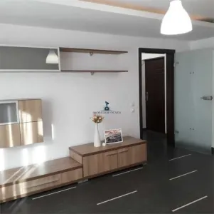 Inchiriere Apartament 2 Camere Decomandat Padesu - foto 7