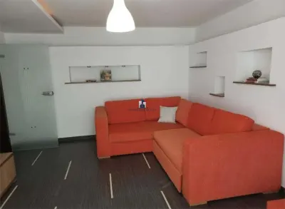 Inchiriere Apartament 2 Camere Decomandat Padesu - foto 8