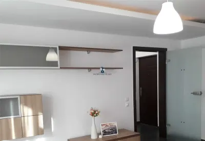 Inchiriere Apartament 2 Camere Decomandat Padesu - foto 10