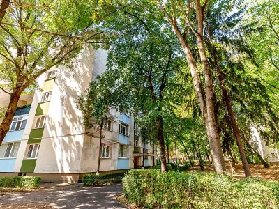Pet friendly! Apartament 4 camere,  Plopilor, zona Platinia Mall+Parcare - foto 34