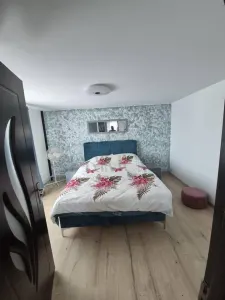 Teren Extravilan + Cabana - Urseni - Oportunitate Unica - foto 6