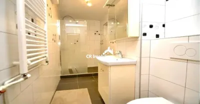 Inchiriere Apartament 2 Camere Bulevardul Unirii - foto 6