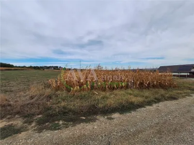 Teren 2.700 mp – 700 mp intravilan | zona Margineni - foto 2
