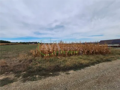Teren 2.700 mp – 700 mp intravilan | zona Margineni - foto 3