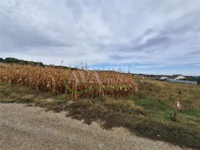 Teren 2.700 mp – 700 mp intravilan | zona Margineni - foto 4