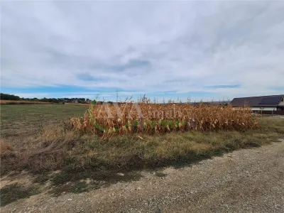 Teren 2.700 mp – 700 mp intravilan | zona Margineni - foto 5
