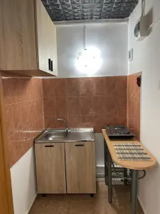BLASCOVICI- AP. 1 CAMERA - mobilat, utilat, SPATIOS - foto 3