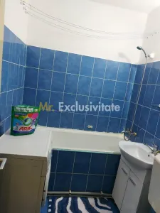 Garsoniera de inchiriat - Craiovei (langa Scoala nr 14) - foto 3