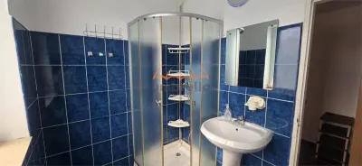 DE INCHIRIAT ap cu 1 cam, zona Plopilor Manastur, 33 mp, 290 euro - foto 13