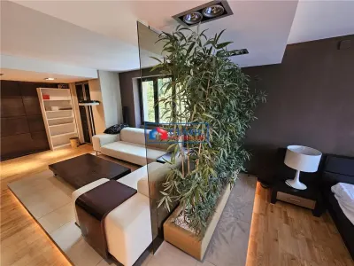 Inchiriere apartament strada Hasdeu, aproape de UMF, Central, Cluj-Napoca - foto 12