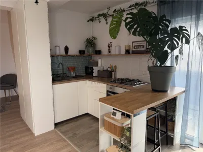 APARTAMENT 1 CAMERA - MOBILAT SI UTILAT - ZONA CENTRALA - foto 3