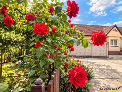 Casa cu vatra traditionala, gradina, garaj, facilitati, Codlea, Brasov - foto 5