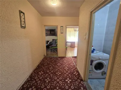 AP.4 CAM DECOM 2 BAI COLENTINA DOAMNA GHICA PARC PLUMBUITA - foto 19