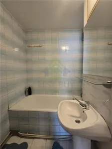 AP.4 CAM DECOM 2 BAI COLENTINA DOAMNA GHICA PARC PLUMBUITA - foto 24