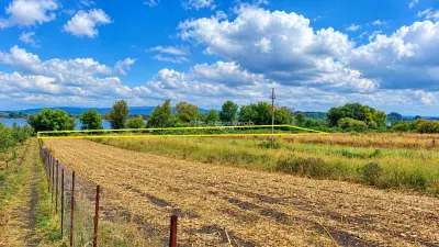 Macesti | Teren Drept La Dunare | 1850MP | ZERO COMISION - foto 9