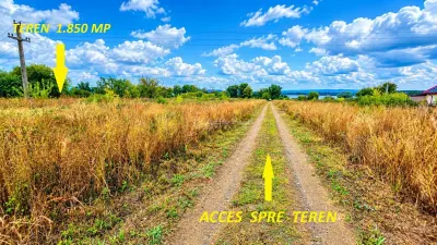 Macesti | Teren Drept La Dunare | 1850MP | ZERO COMISION - foto 11