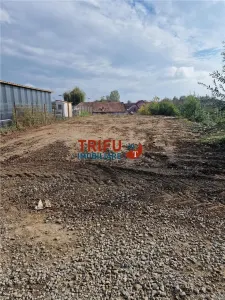 Teren intravilan 680 mp zona Micesti - foto 4