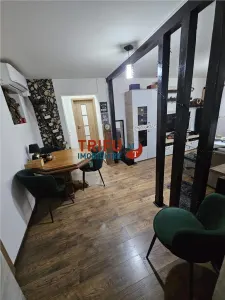 Apartament de vanzare etaj intermediar in Cetate - foto 3