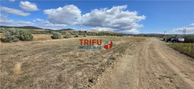 Teren intravilan cu suprafata de 5800 mp pentru investitie - foto 2