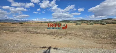 Teren intravilan cu suprafata de 5800 mp pentru investitie - foto 3