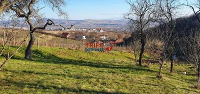 Teren pentru locuinte de vacanta sau motel 5000mp - Alba Iulia