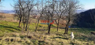 Teren pentru locuinte de vacanta sau motel 5000mp - foto 2