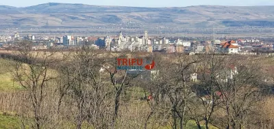 Teren pentru locuinte de vacanta sau motel 5000mp - foto 4