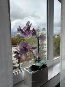 Apartament 2 camere decomandat, etaj 4 | Marasti - Expo Transilvania - foto 3