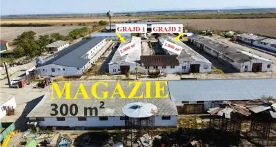 VIDEO | 5.100 m² pentru ZOOTEHNIE - PRODUCTIE | Grajduri + Magazie in Lazuri - Satu Mare