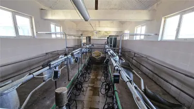 VIDEO | 5.100 m² pentru ZOOTEHNIE - PRODUCTIE | Grajduri + Magazie in Lazuri - foto 11