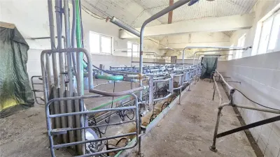 VIDEO | 5.100 m² pentru ZOOTEHNIE - PRODUCTIE | Grajduri + Magazie in Lazuri - foto 12