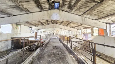 VIDEO | 5.100 m² pentru ZOOTEHNIE - PRODUCTIE | Grajduri + Magazie in Lazuri - foto 13