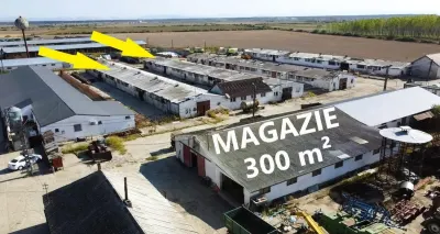 VIDEO | 5.100 m² pentru ZOOTEHNIE - PRODUCTIE | Grajduri + Magazie in Lazuri - foto 3