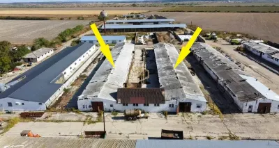 VIDEO | 5.100 m² pentru ZOOTEHNIE - PRODUCTIE | Grajduri + Magazie in Lazuri - foto 4