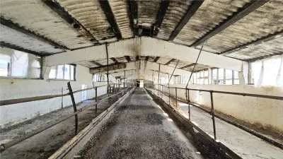 VIDEO | 5.100 m² pentru ZOOTEHNIE - PRODUCTIE | Grajduri + Magazie in Lazuri - foto 7
