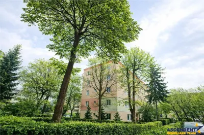 Apartament 2 camere, renovat, etaj 2, disponibil imediat, Florilor, Brasov - foto 2