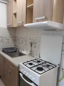 Inchiriere apartament 1 camera, Republicii, mobilat si utilat complet - foto 4