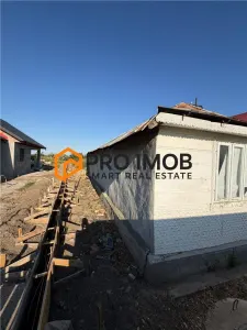 Casa batraneasca + spatiu comercial zona Jorasti-Vrancea - foto 7