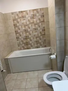 Apartament cu 1 cameră de închiriat – Conest Residence, Tudor Vladimirescu - foto 8