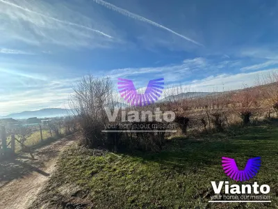 Teren intravilan 500 mp in Rasinari - foto 4