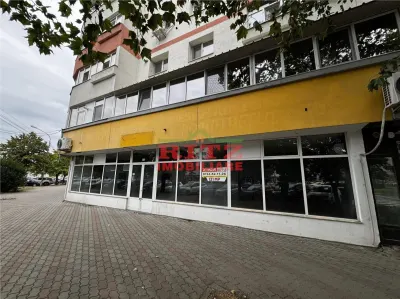 Nou! Sp. com. 140 mp, Zona Parcul Tineretului/Gara! - foto 11