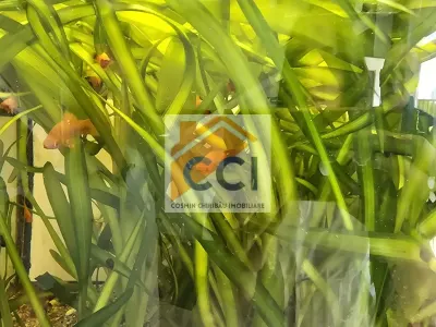 Spațiu industrial - BUSINESSUL TĂU ESTE GATA. DOAR PORNEȘTE-L ! - foto 33