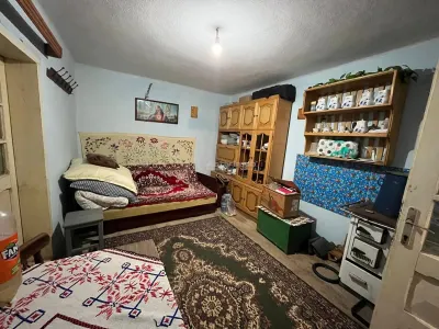 Zorile, Casa 6 Incaperi + 5900 mp Teren - foto 4